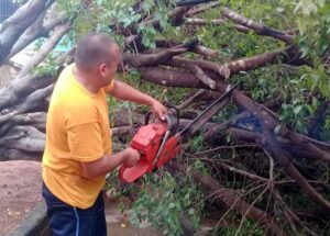 JUCHITÁN PERSONAL DEL AYUNTAMIENTO RETIRANDO LAS RAMAS DEL ÁRBOL