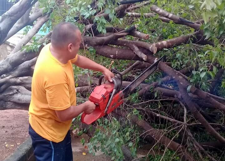 JUCHITÁN PERSONAL DEL AYUNTAMIENTO RETIRANDO LAS RAMAS DEL ÁRBOL
