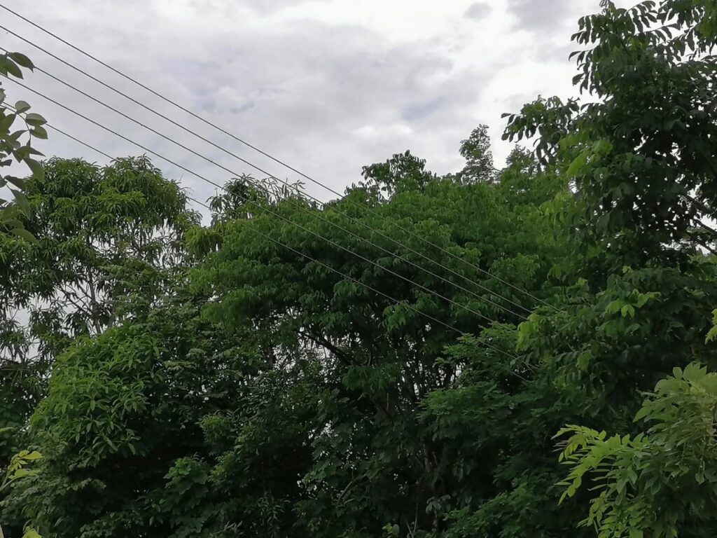 Juchitán Los cables de alta tensión (1)