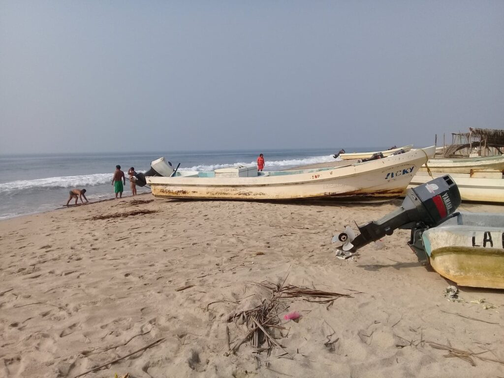 MARQUELIA BAJA EN LA PESCA