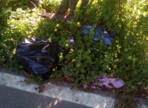 Marquelia Las bolsas de basura la dejan en la orilla de la carretera (2)
