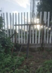 Marquelia Los daños (1)