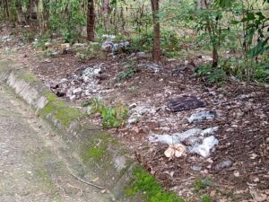 SAN LUIS BASURA SOBRE EL LIBRAMIENTO (3)