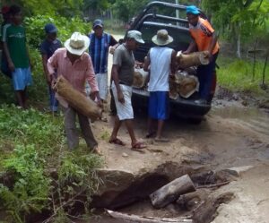 COPALA POBLADORES REHABILITANDO EL CAMINO A CAÑADA DEL ARROZ (1)