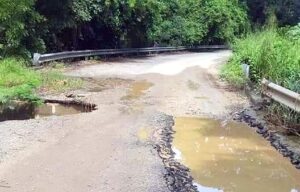 MARQUELIA ASÍ LUCE EL TRAMO CARRETERO (1)
