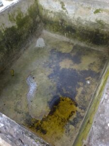 Marquelia Ni una sola gota de agua tienen los vecinos