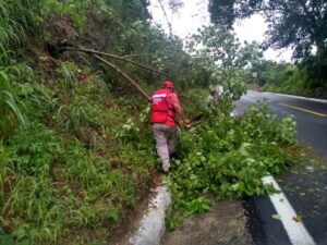 OME ÁRBOL CAÍDO A INMEDIACIONES DEL CRUCERO DE TENANGO