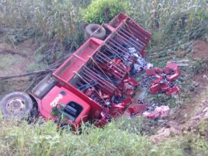 ROJA EL VEHICULO EN EL BARRANCO (1)