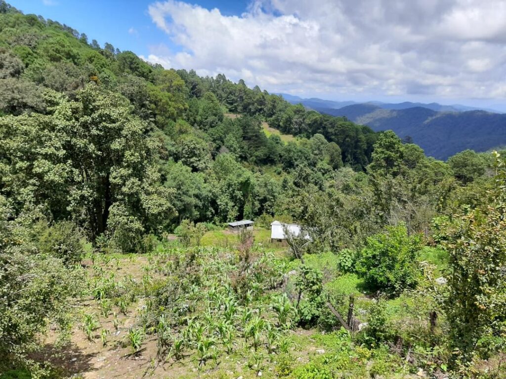 ROJA Paraje de Alacatlatzala