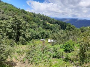 ROJA Paraje de Alacatlatzala