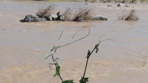 ROJA RESCATE EN EL PAPAGAYO (2)