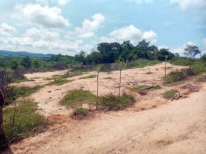 JUCHITÁN SITIO DEL DESPOJO