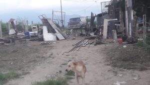 OME pertenencias en la calle