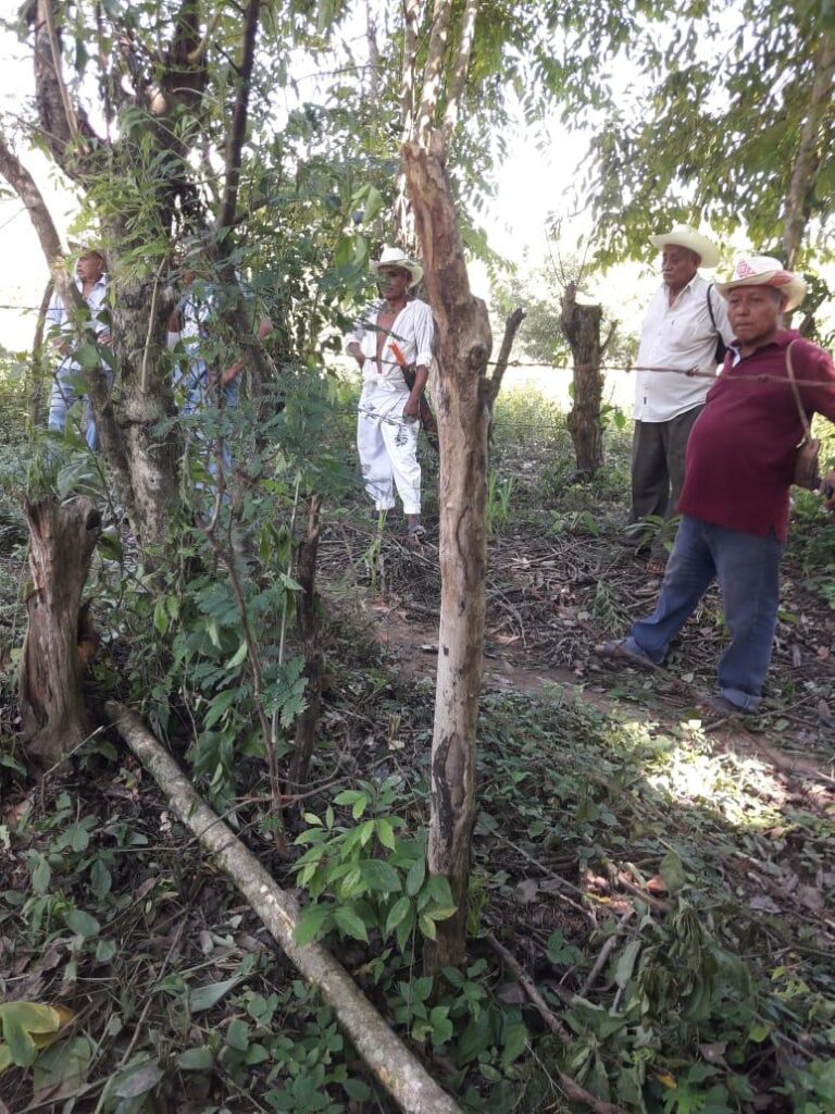 PRINCIPAL Los ejidatarios amedrentando al empleado