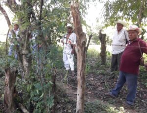 PRINCIPAL Los ejidatarios amedrentando al empleado