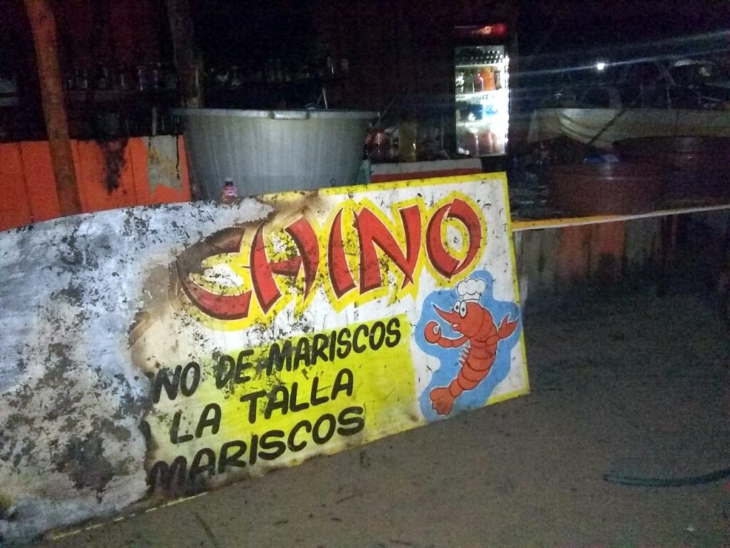 ROJA DAÑOS (2)