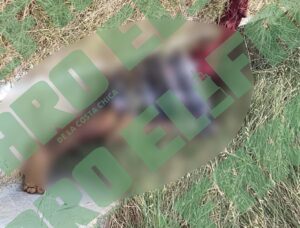 ROJA ENVUELTO EN UNA TOALLA 1
