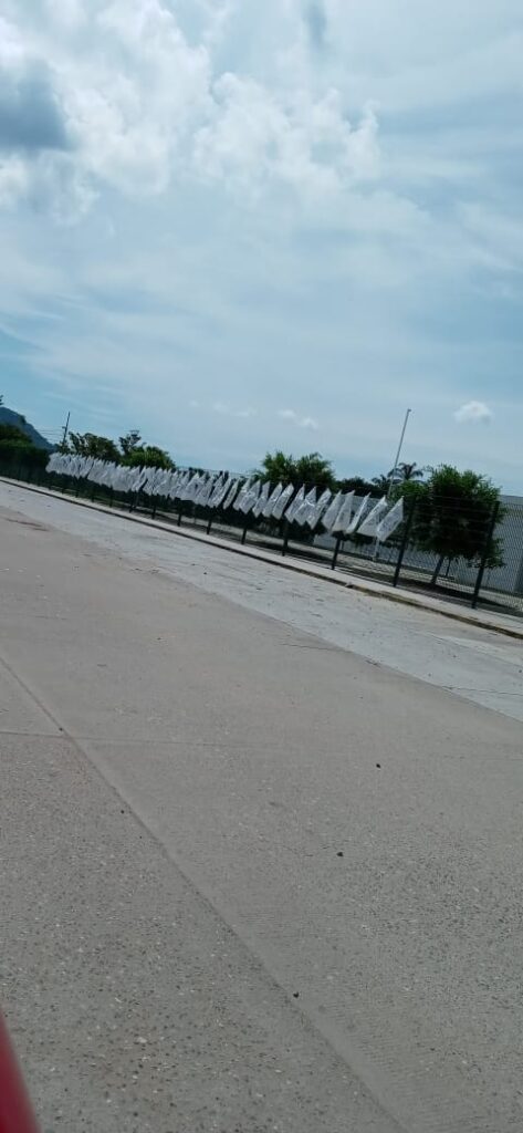 SAN LUIS COSTALILLAS SECANDOSE