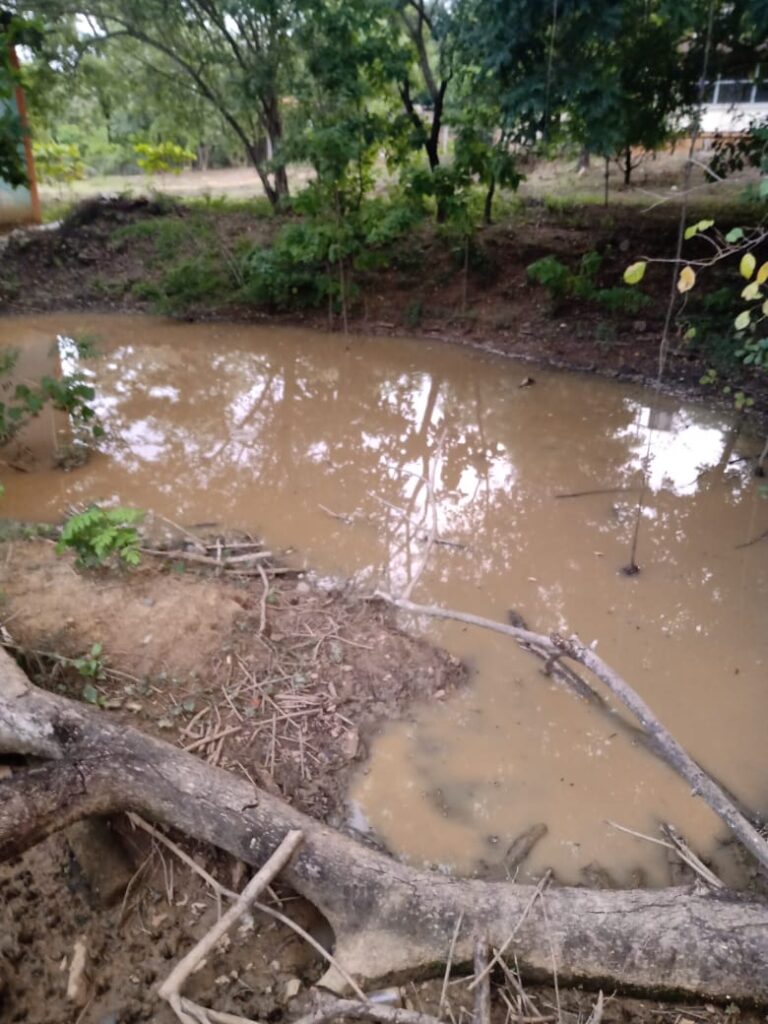 SAN LUIS LA POZA DE AGUA