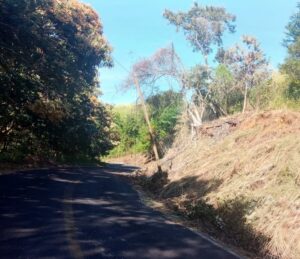 AZOYÚ POSTE