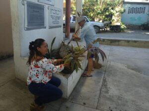 Marquelia Fomentar la cultura de reforestar