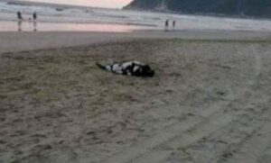 ROJA MUERE AHOGADO OTRO TURISTA