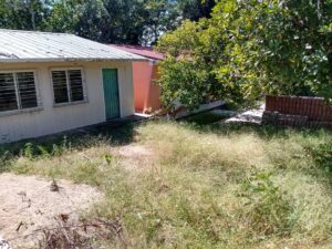 SAN LUIS ESCUELAS LLENAS DE MALEZA (2)