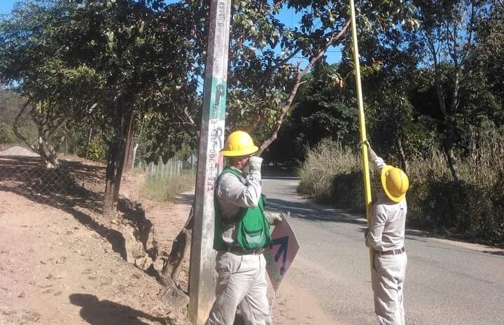 XOCHIS El personal de CFE en la poda