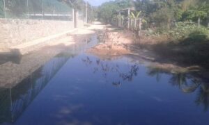 OMKE La calle Mateo Aguirre (1)