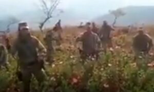 ROJA EL VIDEO