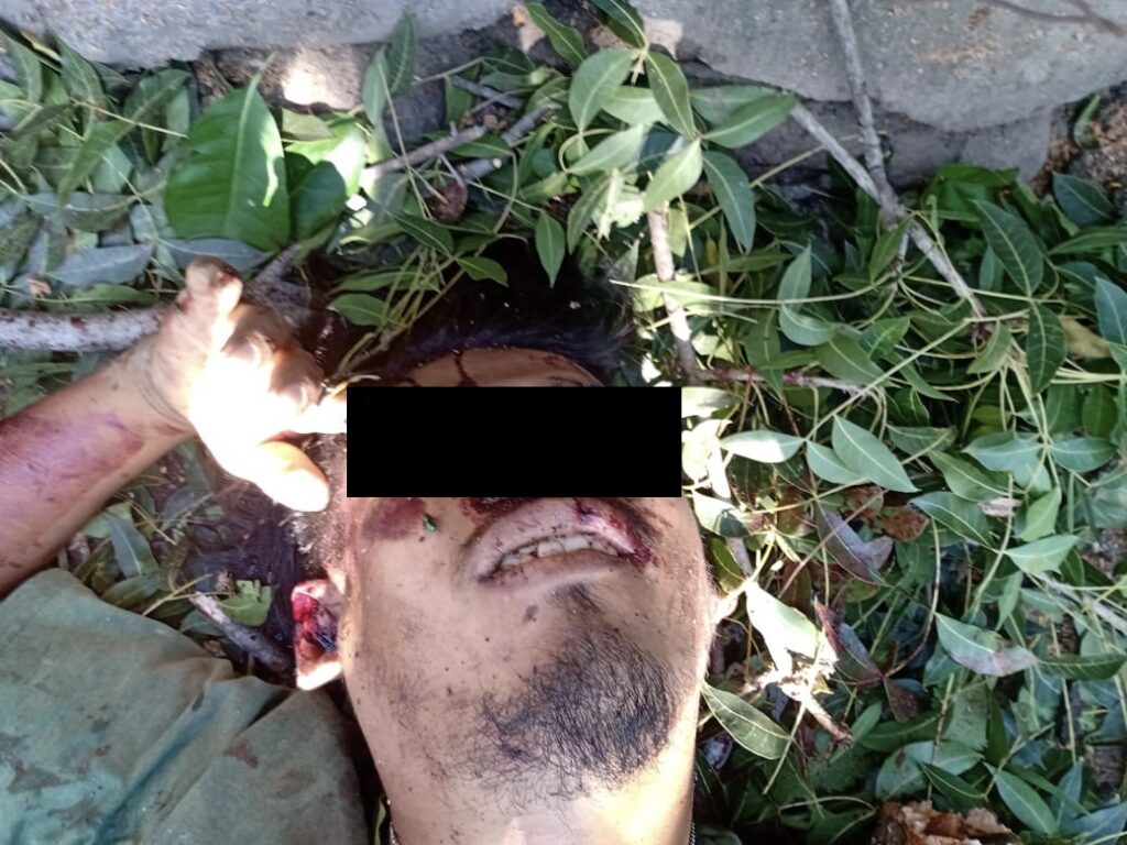 ROJA SE CAYÓ DE UN ARBOL Y MURIO
