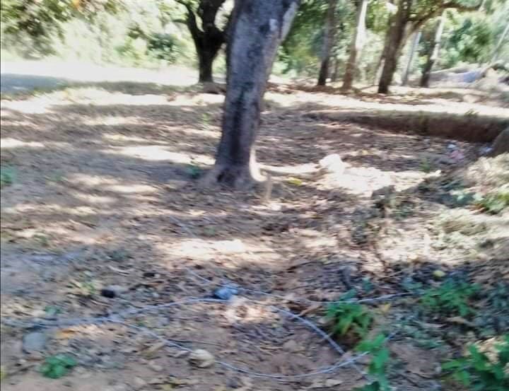 AYUTLA PREDIO EN DISPUTA