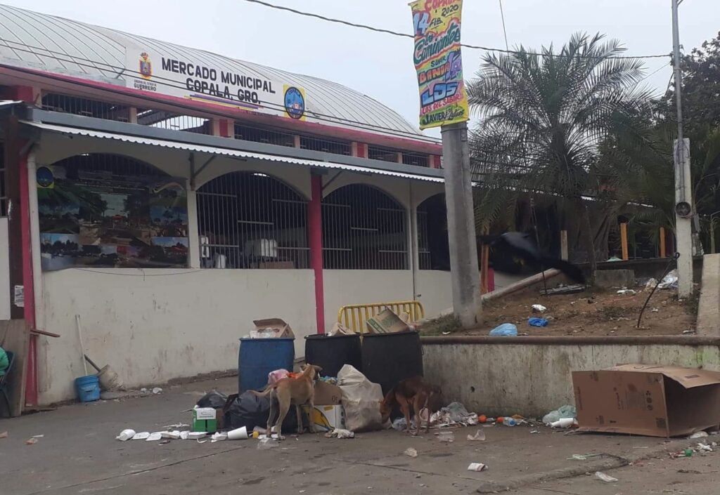 Copala La basura