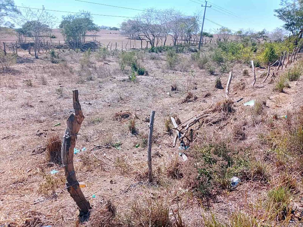 JUCHITÁN DAÑOS EN SU CERCO (2)
