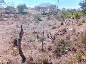 JUCHITÁN DAÑOS EN SU CERCO (2)