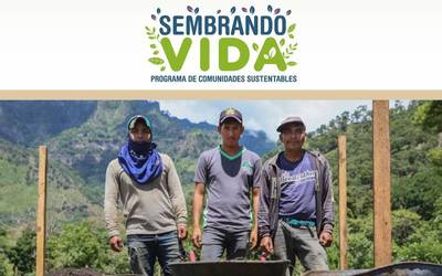 AZOYÚ SEMBRANDO VIDA