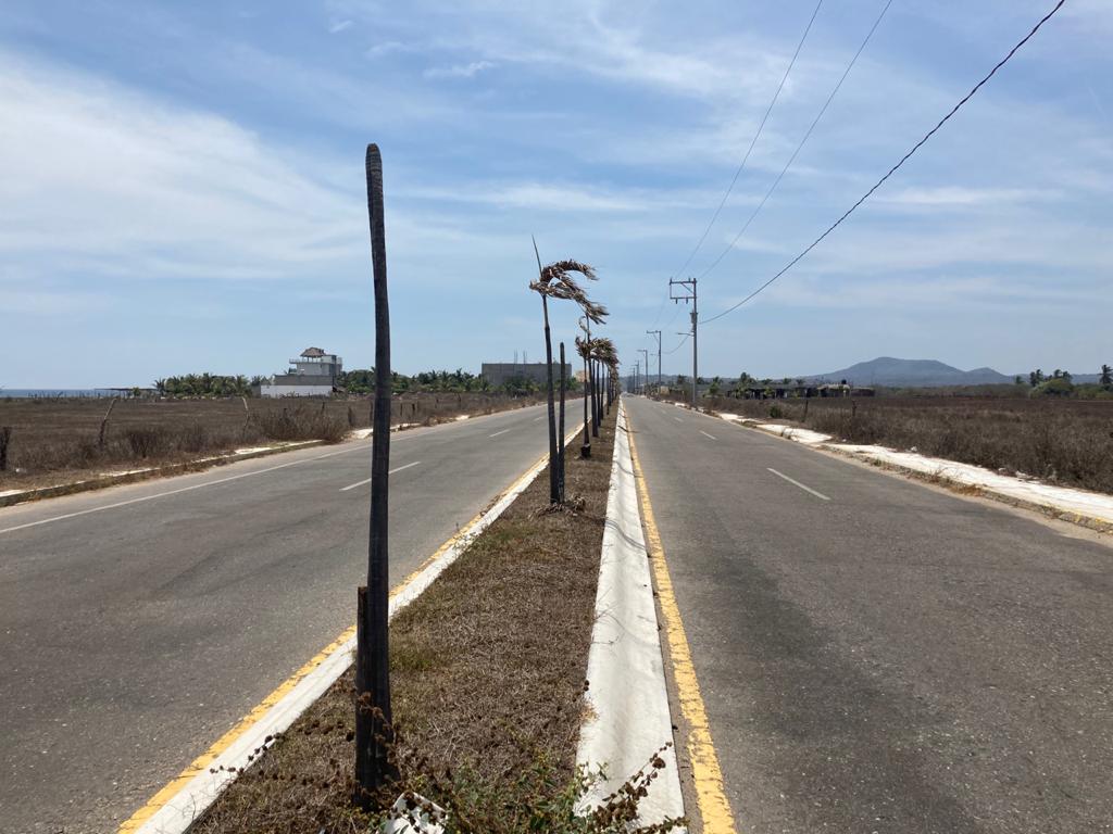 COPALA COSTERA DE PLAYA AZUL (2)