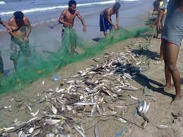 MARQUELIA PESCADORES EN BARRA DE TECOANAPA