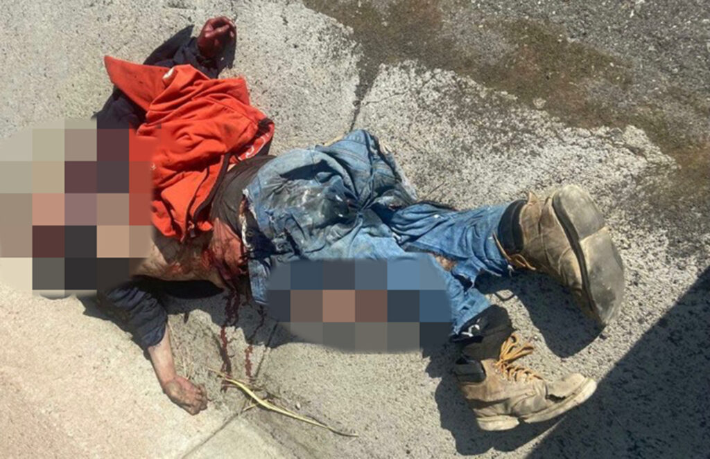 ROJA ATROPELLADO EN LA AUTOPISTA