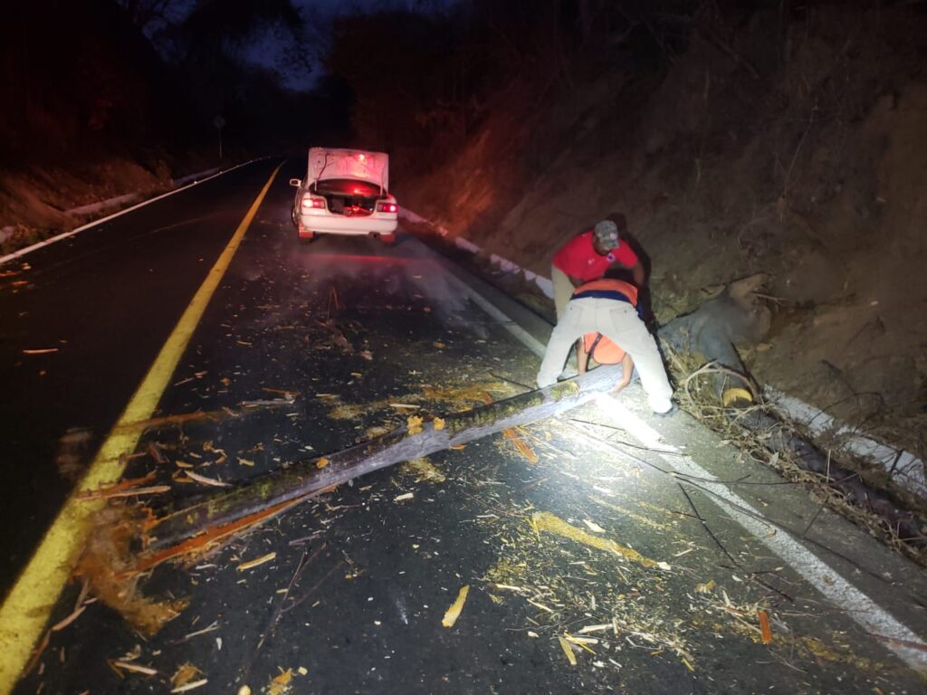 ROJA ELEMENTOS DE PROTECCIÓN CIVIL RETIRANDO EL ÁRBOL (2)