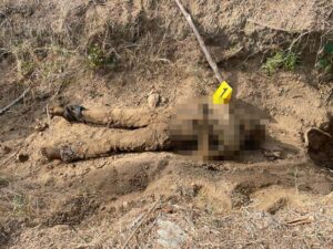 ROJA Fosa donde encontraron a Roberto Mejía Martínez (1)