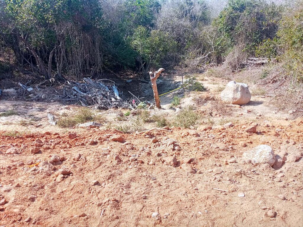 ROJA LUGAR DEL HALLAZGO