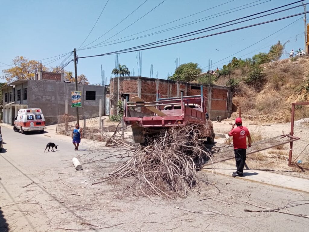 ROJA La camioneta estampada