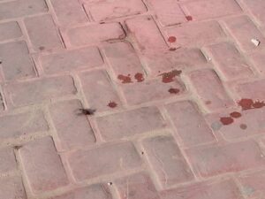 ROJA MANCHAS DE SANGRE Y RESTOS DE CABELLO EN LA CALE (2)