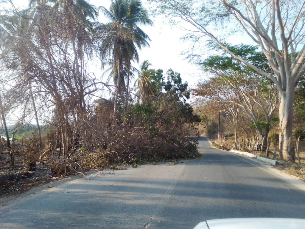 MARQUELIA DAÑOS POR INCENDION Y CAIDA DE ARBOLES (1)