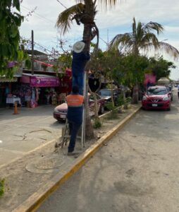 Marquelia Los trabajos de limpieza en el boulevard