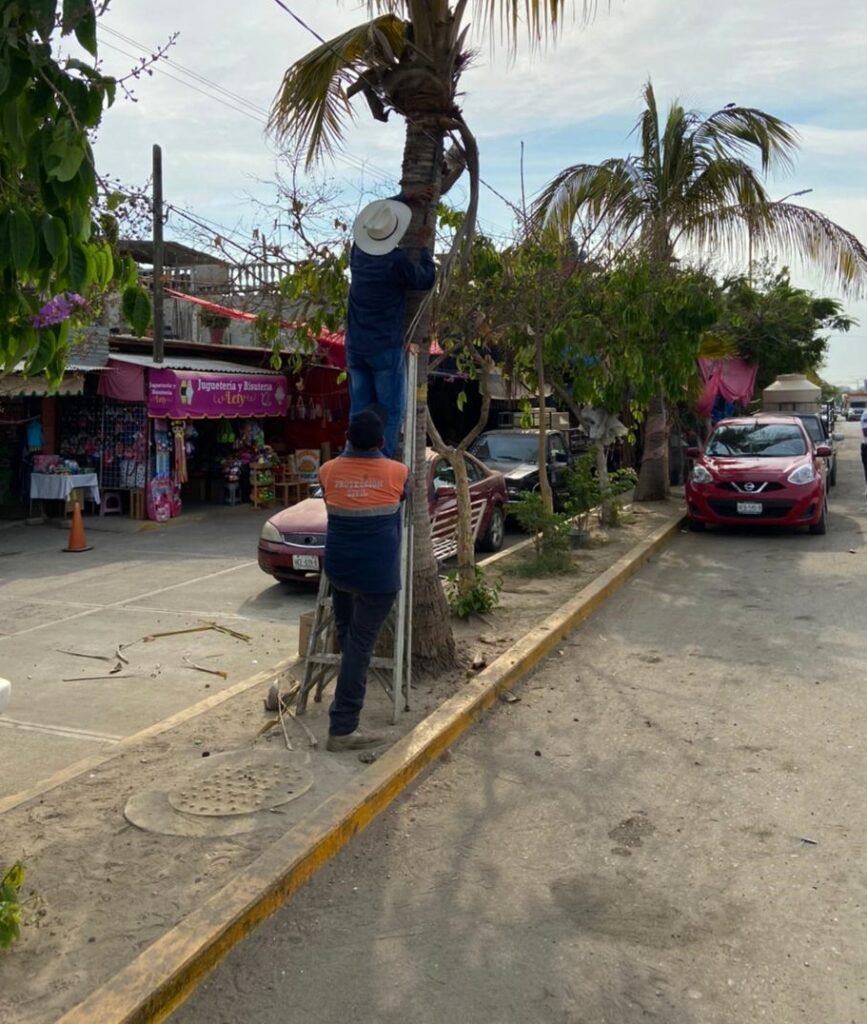 Marquelia Los trabajos de limpieza en el boulevard