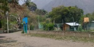 ROJA DESTAZAN A CAMPESINIO
