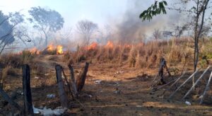 ROJA INCENDIO (2)