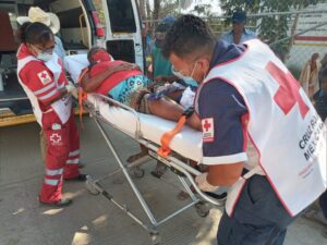 ROJA RECIBIENDO ATENCIÓN MÉDICO (2)